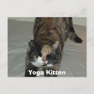 Yoga Calico Cat Postkarte