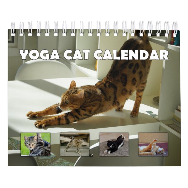 Yoga Cat Kalender (Titelbild)