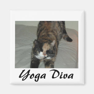 Yoga Cat Magnet