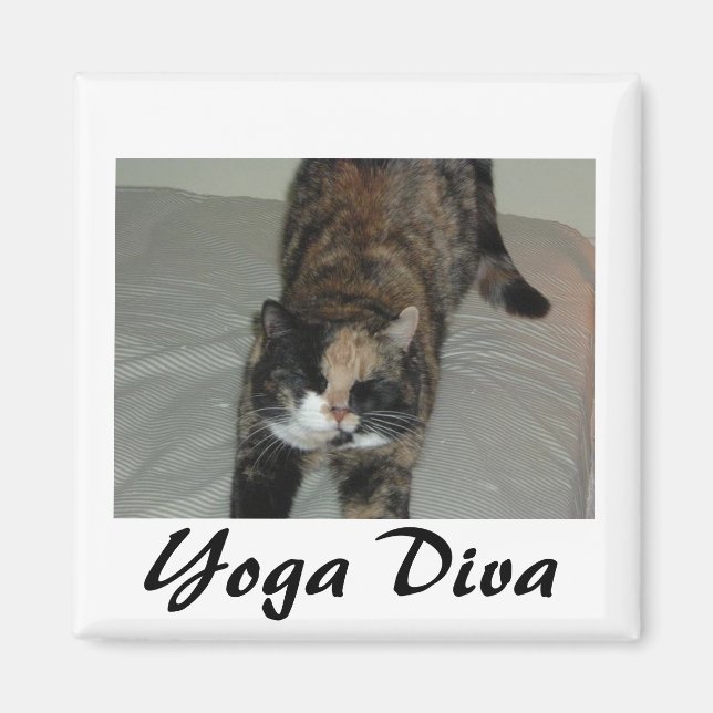 Yoga Cat Magnet (Vorne)