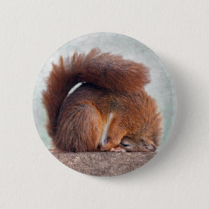 Yoga-Eichhörnchen-Abzeichen Button