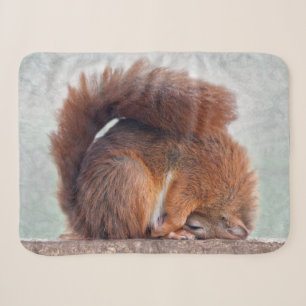 Yoga-Eichhörnchen Sherpa Decke Sherpadecke