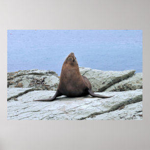 Yoga Fur Siegel Poster