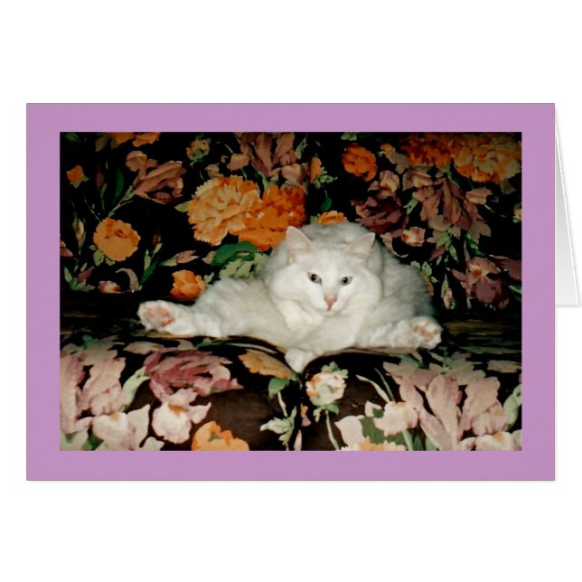 Yoga-Katze (Vorderseite (Horizontal))