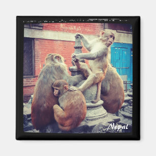 Yoga master, Swayambhunath, Kathmandu, Nepal Magnet