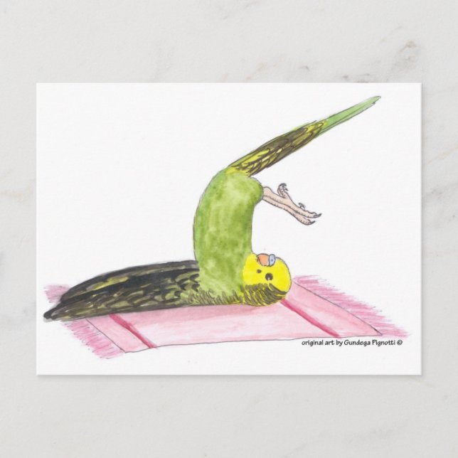 Yoga Parakeet Plow Pose Postkarte (Vorderseite)