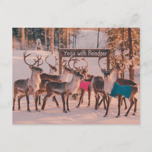 Yoga-Rentier Weihnachten Postkarte