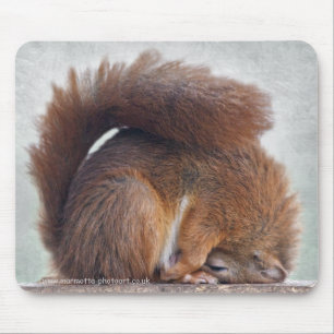 Yoga Squirrel Mousemat Mousepad