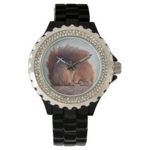 Yoga Squirrel Watch Armbanduhr
