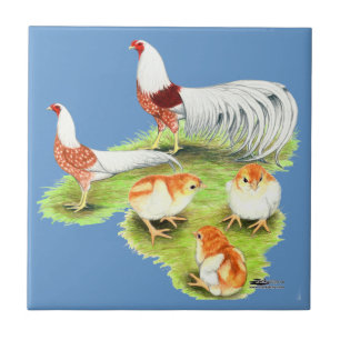 Yokohama Red Shoulder Familie Fliese