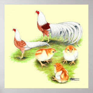 Yokohama Red Shoulder Family Poster