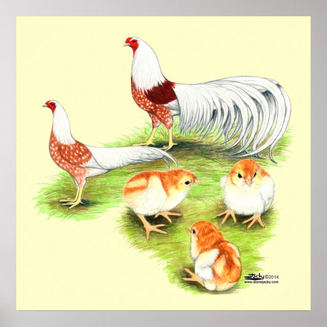 Yokohama Red Shoulder Family Poster (Vorne)