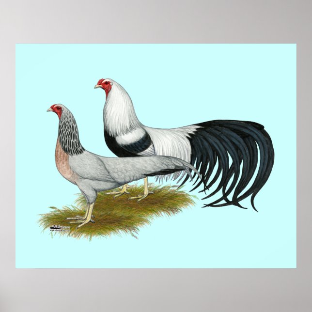 Yokohama: Silver Duckwing Pair Poster (Vorne)