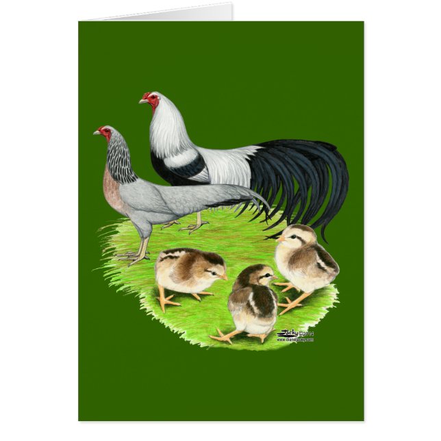 Yokohama Silver Family (Vorne)