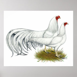 Yokohama: Weißes Paar Poster