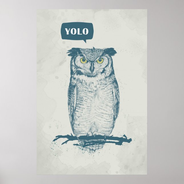 YOLO POSTER (Vorne)