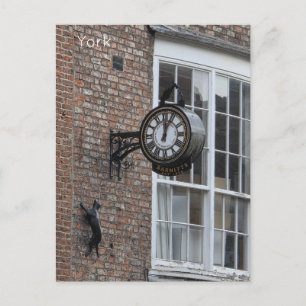 York Cat Postkarte