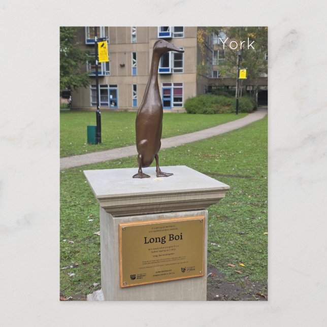 York Long Boi Postkarte (Vorderseite)