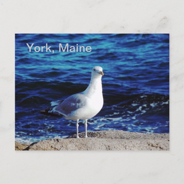 York, Maine Postcard Postkarte (Vorderseite)