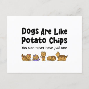 Yorki-Hunde sind wie Kartoffelchips, die man nie h Postkarte