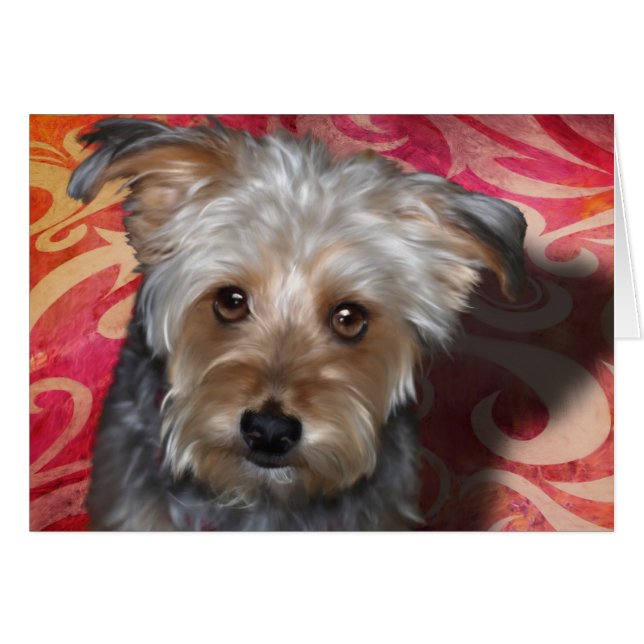 Yorkie (Vorderseite (Horizontal))