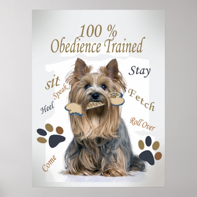 Yorkie 100 % Gehorsam Geübtes Poster (Vorne)