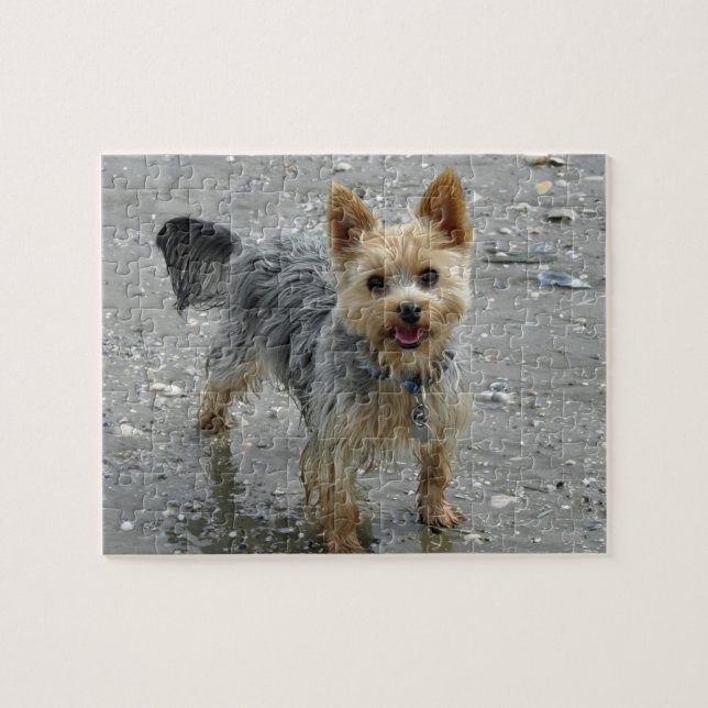 Yorkie am Strand Puzzle (Horizontal)