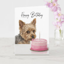 Yorkie Birthday Cake Inspector
