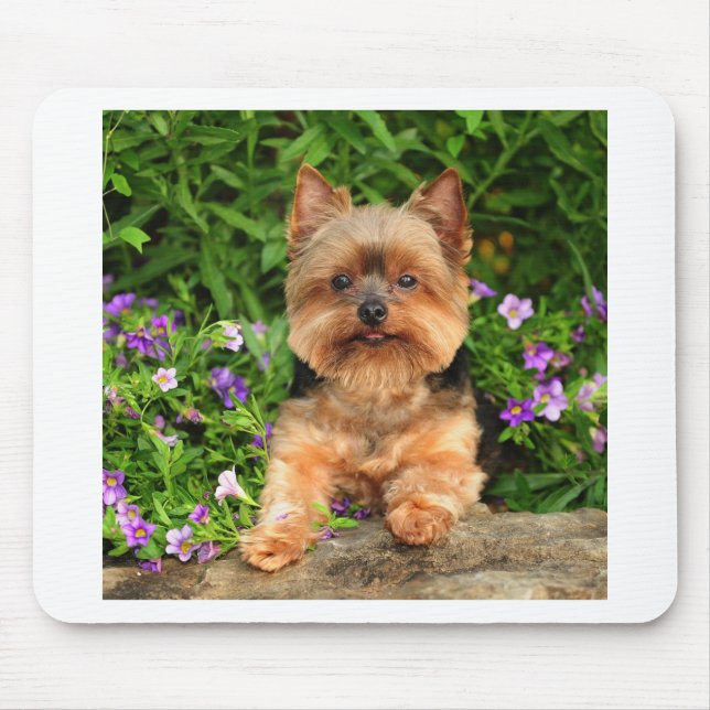 Yorkie Blumen Mousepad (Vorne)
