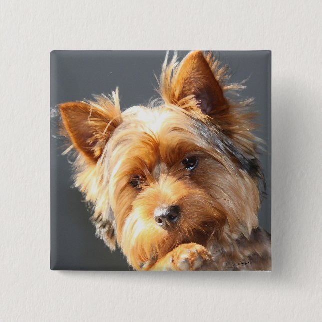 Yorkie Button (Vorderseite)