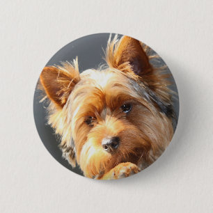 Yorkie Button