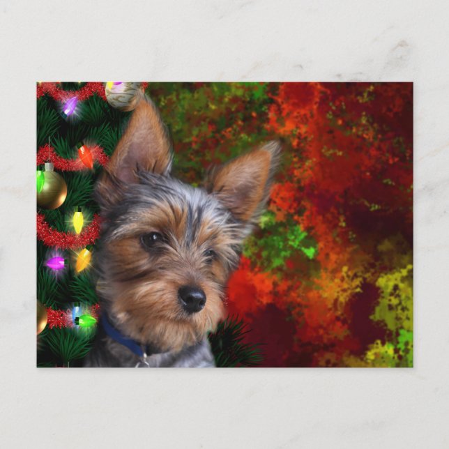 Yorkie Christmas Feiertagspostkarte (Vorderseite)