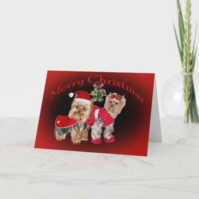 Yorkie Christmas Mistletocard Feiertagskarte (Vorderseite)