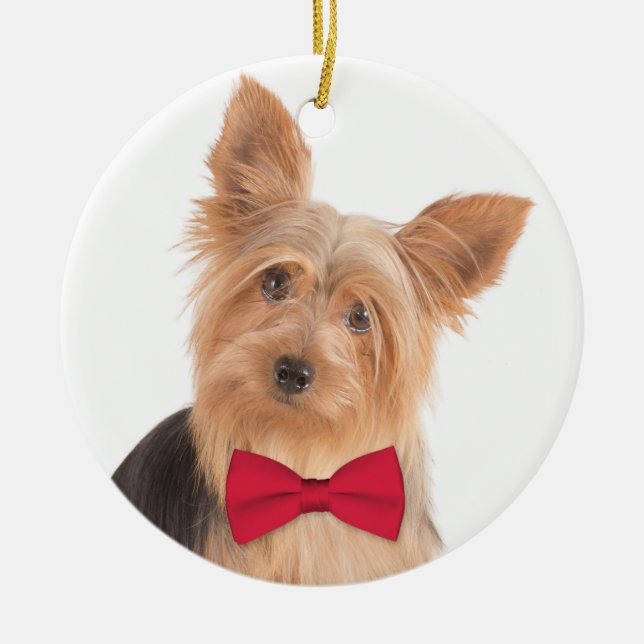 Yorkie Christmas Ornament (Vorne)