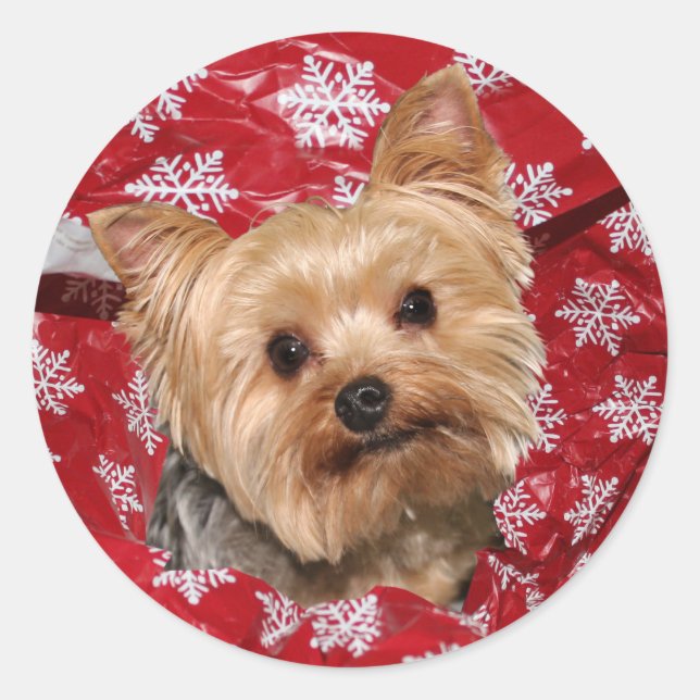 Yorkie Christmas Runder Aufkleber (Vorderseite)