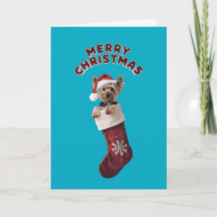 Yorkie Christmas Strumpf Karte