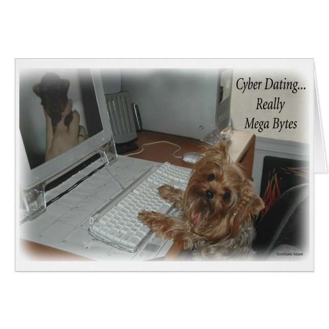 Yorkie Cyber Verabreden (Vorderseite (Horizontal))
