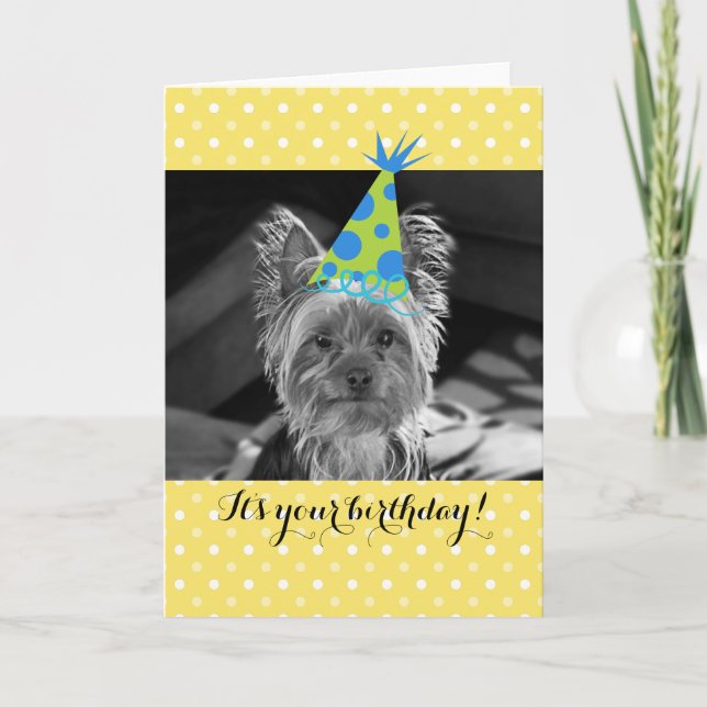 Yorkie Dog Birthday Card Karte (Vorderseite)