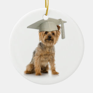Yorkie Dog mit Abschluss Hat Keramik Ornament