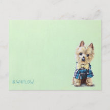 Yorkie Dog Postcard