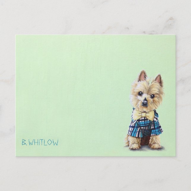 Yorkie Dog Postcard Postkarte (Vorderseite)