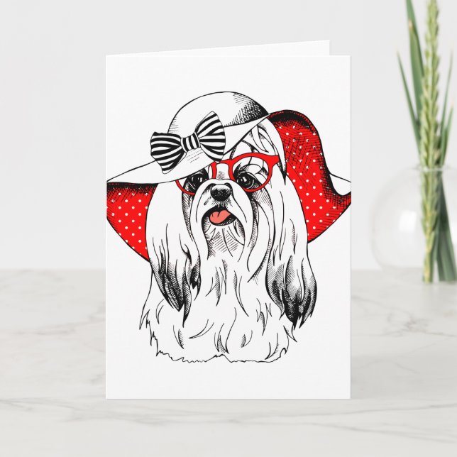 Yorkie Fashion Shoot Karte (Vorderseite)