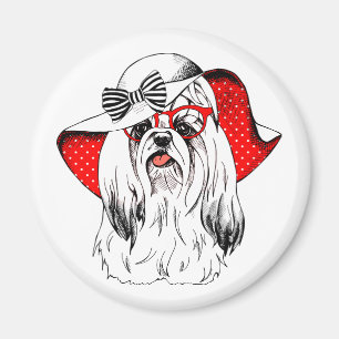 Yorkie Fashion Shoot Magnet