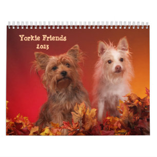 Yorkie Friends 2013 - Kalender