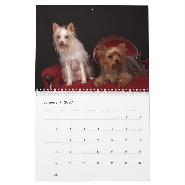 Yorkie Friends 2013 - Kalender (Jan 2027)