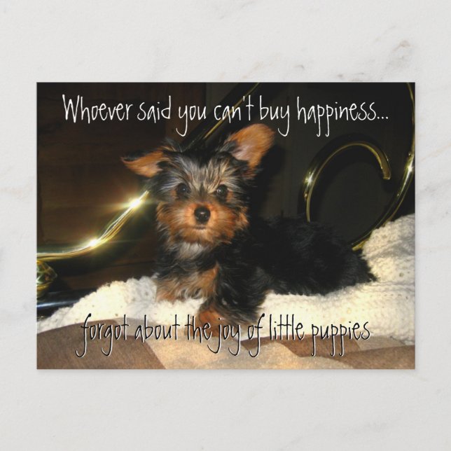 Yorkie Happiness Customizable Postcard Postkarte (Vorderseite)