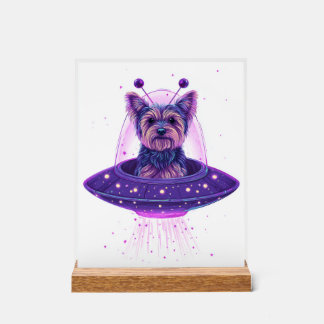 Yorkie � Hund au�erhalb dieser Welt Acrylschild