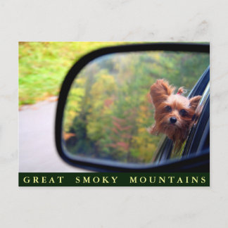 Yorkie Hund - Herbstreise - Große, rauchige Berge Postkarte
