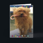 Yorkie-Hund-Kandiszucker-Christmskarten Karte<br><div class="desc">Wunderschöner kleiner Yorkie hält einen Kandiszucker und sagt "Leckereien und Küsse,  ein tolles Weihnachten"</div>