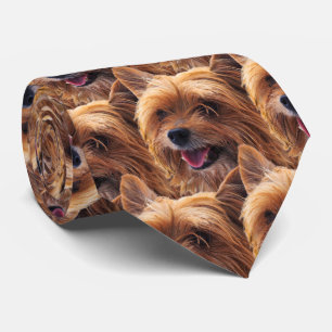 Yorkie Hund Krawatte